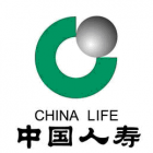 中國人壽保險(xiǎn)股份有限公司嵐皋支公司