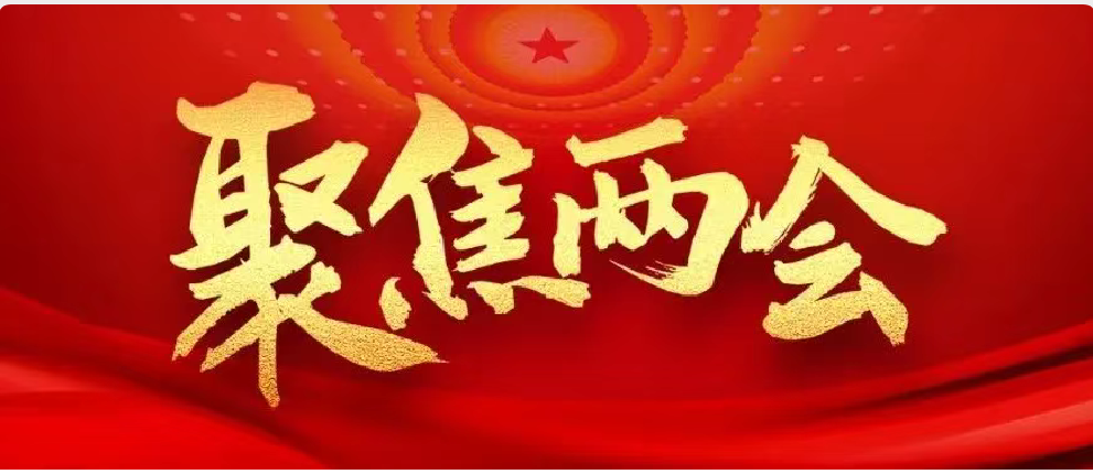 全國(guó)政協(xié)十三屆三次會(huì)議在京開幕